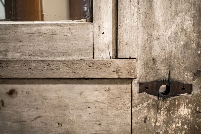 The Door Is the Cabinet: Why Construction Method Determines Whether Your Investment Lasts Five Years or Fifty